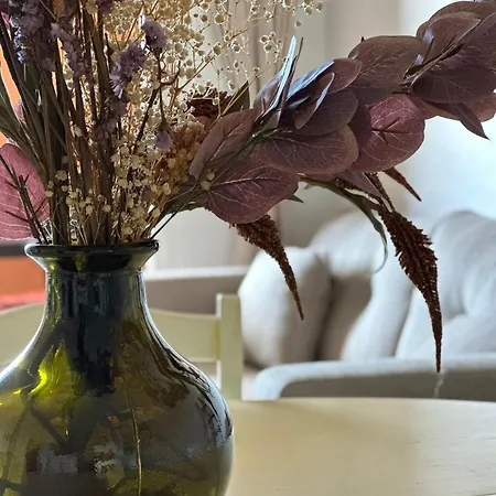 Luciano Maxime Sainte-Maxime